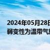 2024年05月28日快讯 今年第1号台风“艾云尼”将逐渐减弱变性为温带气旋