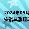 2024年06月06日快讯 英伟达概念盘初活跃，安诺其涨超5%