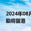 2024年08月16日快讯 香港新生大熊猫双胞胎将留港