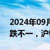 2024年09月04日快讯 国内期货夜盘开盘涨跌不一，沪银涨0.04%