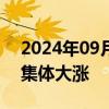 2024年09月24日快讯 美股热门中概股盘前集体大涨