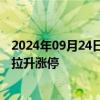 2024年09月24日快讯 光伏概念股开盘反弹，弘元绿能直线拉升涨停