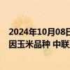 2024年10月08日快讯 农业农村部：恒丰728D等27个转基因玉米品种 中联豆5046等3个转基因大豆品种审定通过