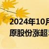 2024年10月10日快讯 猪肉股盘初拉升，牧原股份涨超5%