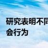 研究表明不同类型的小脑神经元控制运动和社会行为