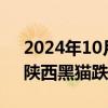 2024年10月11日快讯 煤炭板块跌势扩大，陕西黑猫跌超9%