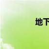 地下城与勇士圣骑士加点