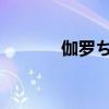 伽罗ちゃんが腿法是什么意思