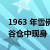 1963 年雪佛兰 Nova SS 在停泊数十年后从谷仓中现身