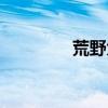 荒野大镖客老太太4个儿子