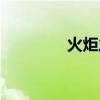 火炬之光2狂战士属性加点