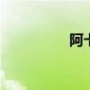 阿卡丽的黑金商店2021