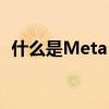 什么是Meta Verified费用是多少如何获得