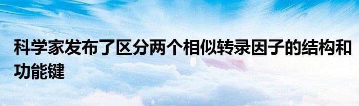 科学家发布了区分两个相似转录因子的结构和功能键