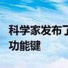 科学家发布了区分两个相似转录因子的结构和功能键