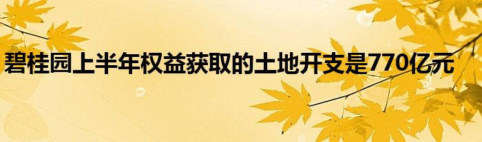 碧桂园上半年权益获取的土地开支是770亿元